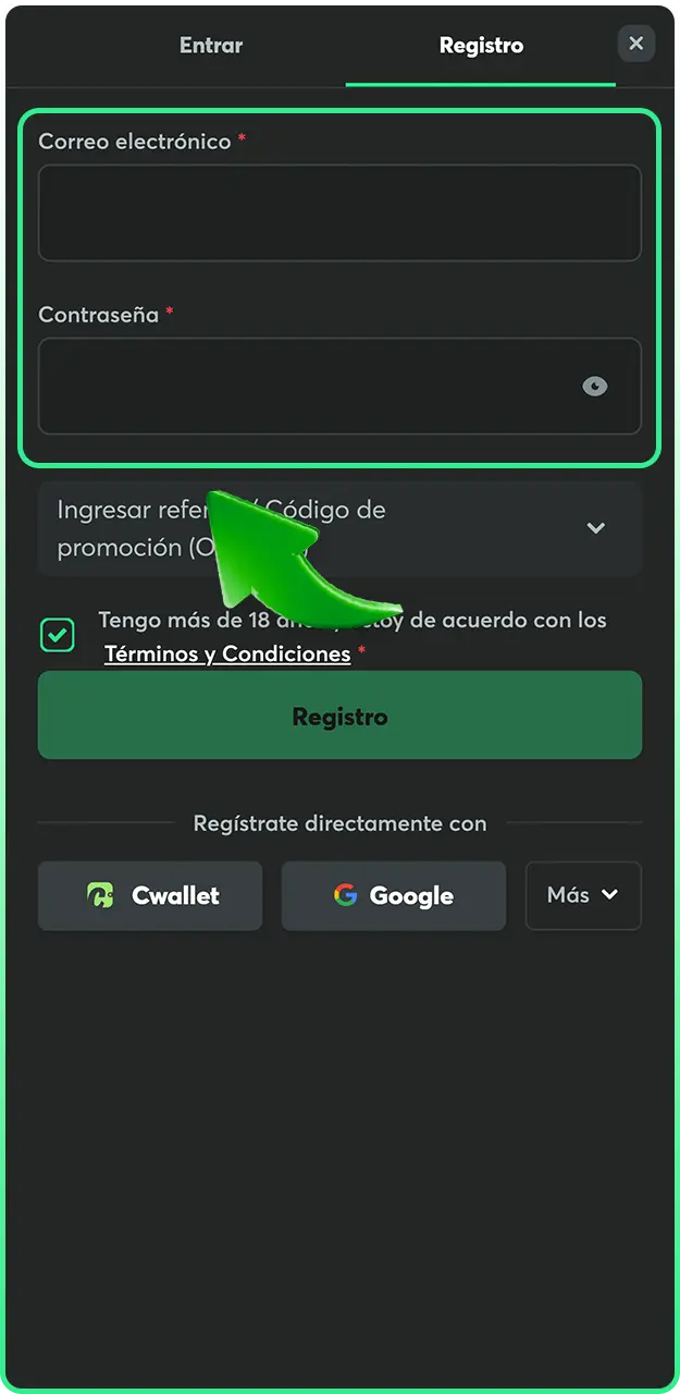 Rellena los datos necesarios al registrarte en BC Game.